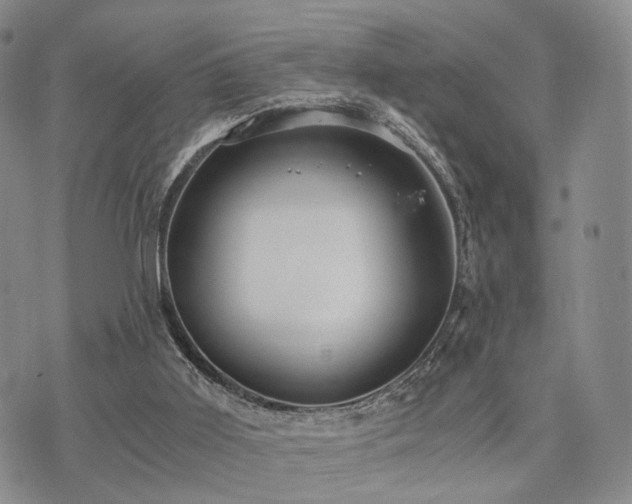 X0000073700011200608031226