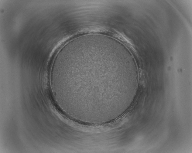 X0000073700012200608031226