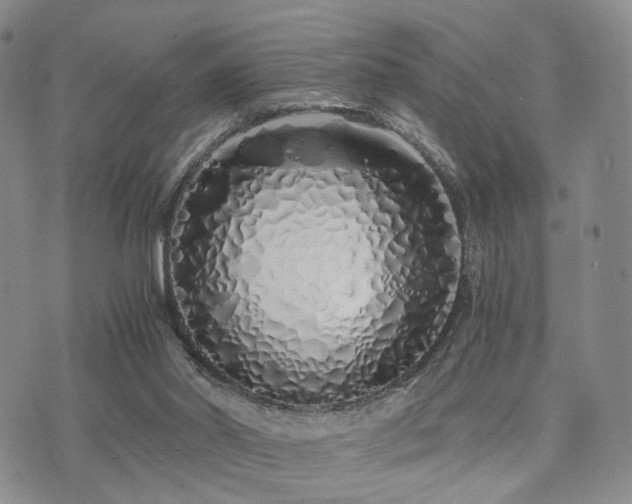 X0000073700014200608031226