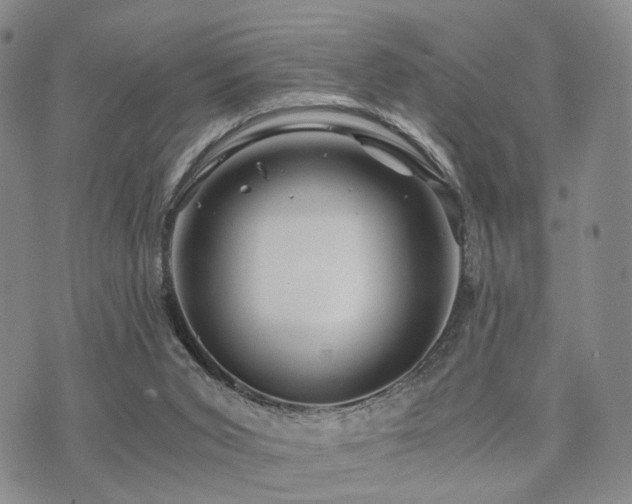 X0000073700015200608031226