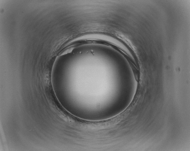 X0000073700017200608031226