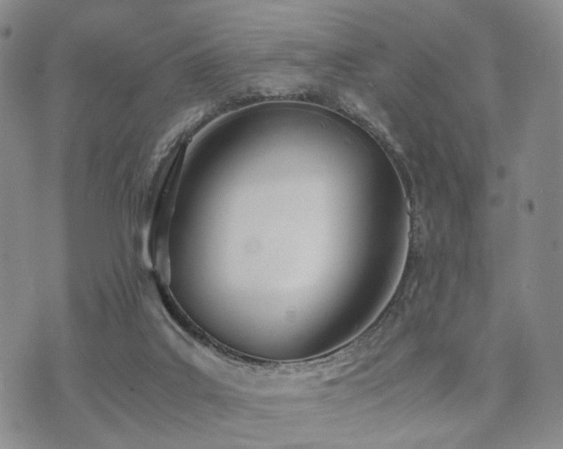 X0000073700019200608031226