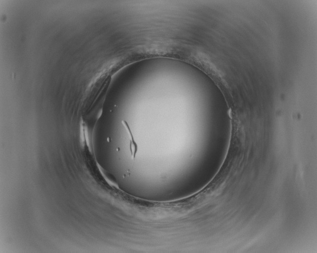 X0000073700020200608031226