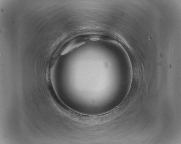 X0000073700023200608031226