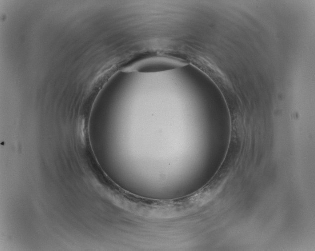 X0000073700024200608031226