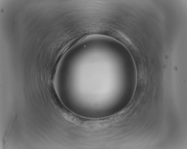 X0000073700025200608031226