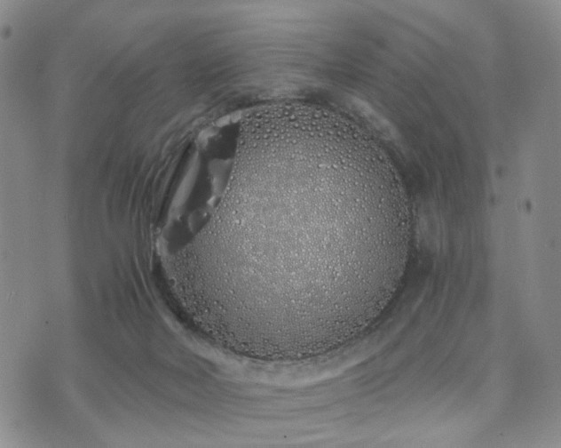 X0000073700026200608031226