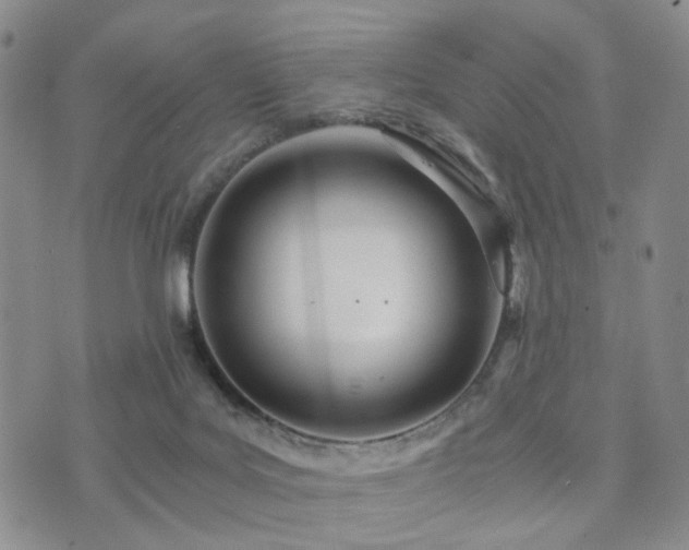 X0000073700027200608031226