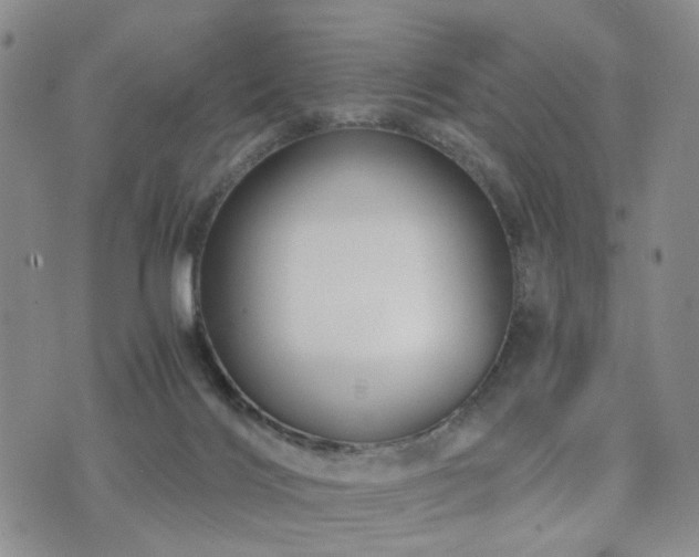 X0000073700028200608031226