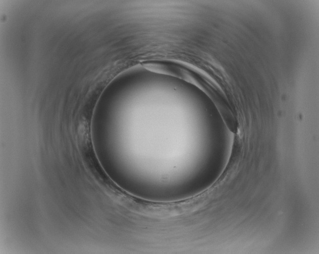 X0000073700029200608031226