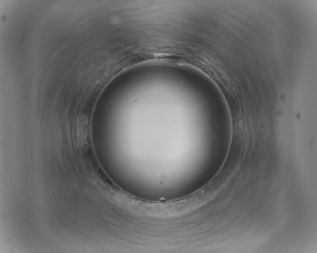 X0000073700030200608031226