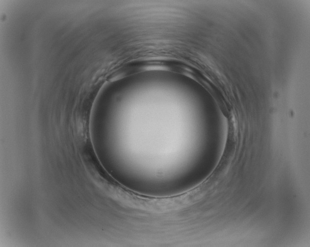 X0000073700031200608031226