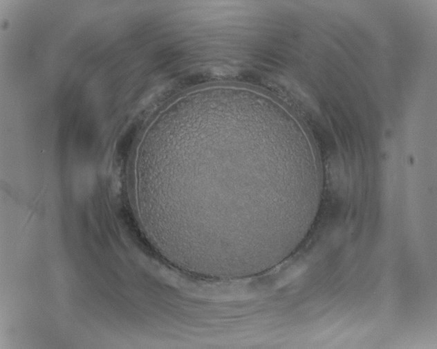 X0000073700032200608031226