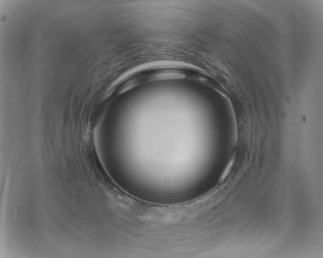 X0000073700033200608031225