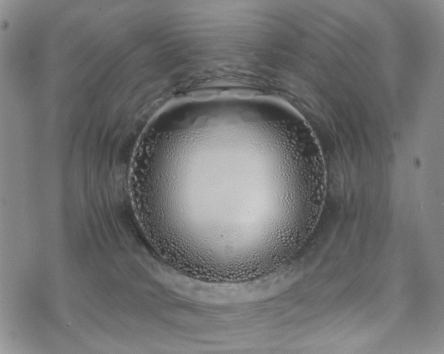 X0000073700034200608031225