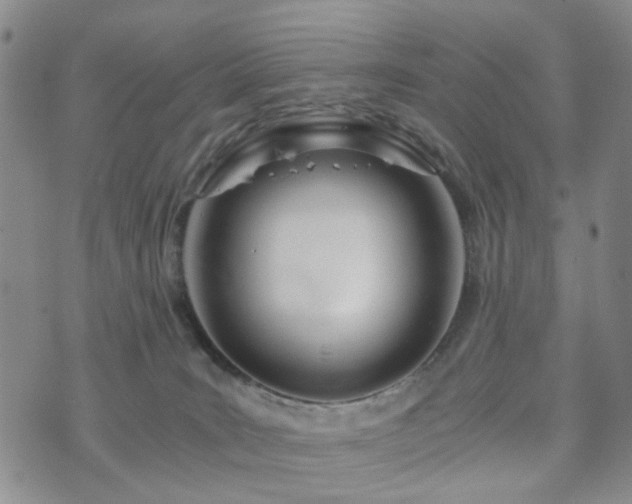 X0000073700035200608031225