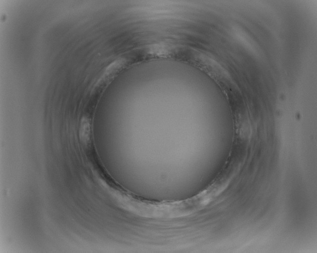 X0000073700036200608031225