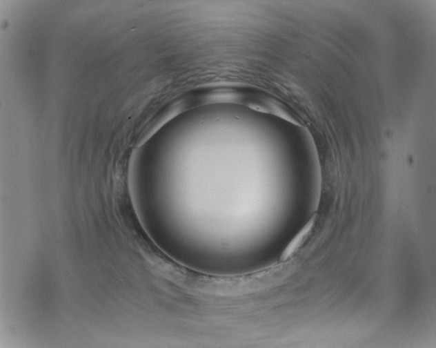 X0000073700037200608031225