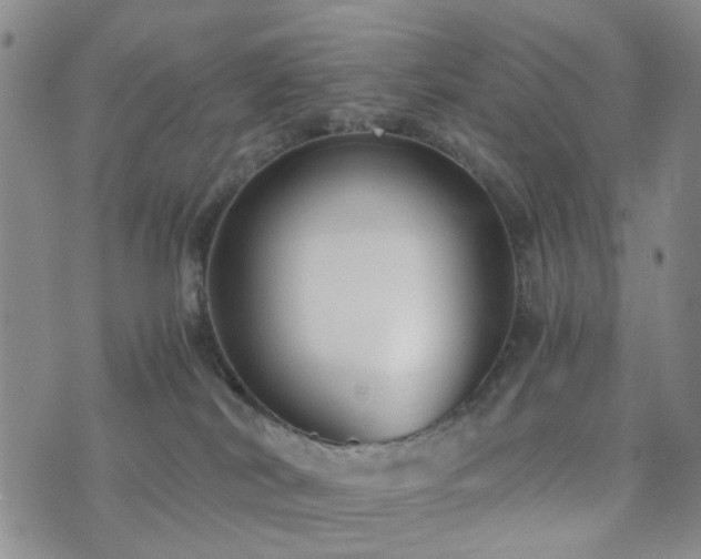 X0000073700038200608031225