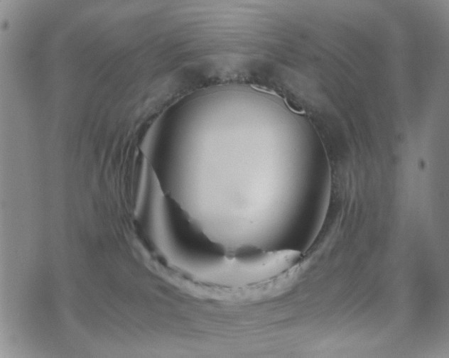 X0000073700039200608031225