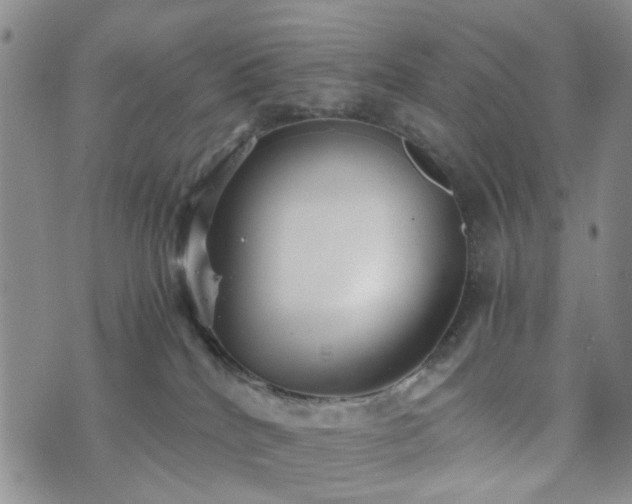 X0000073700040200608031225