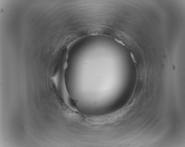 X0000073700041200608031225