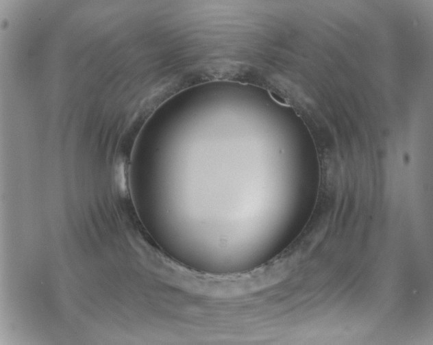 X0000073700042200608031225