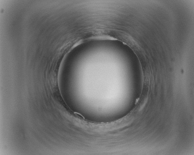 X0000073700043200608031225