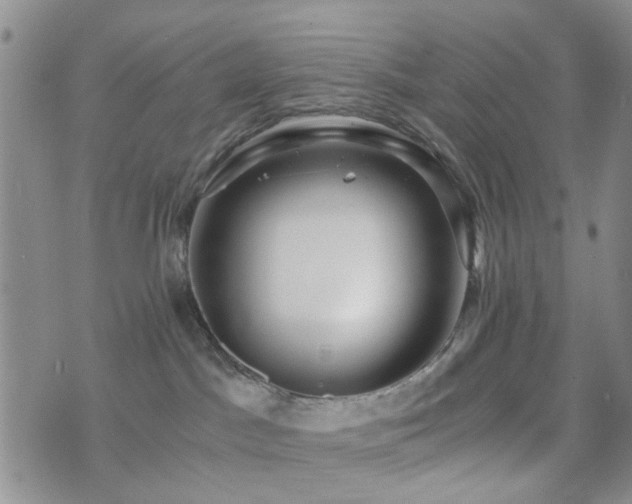 X0000073700045200608031225