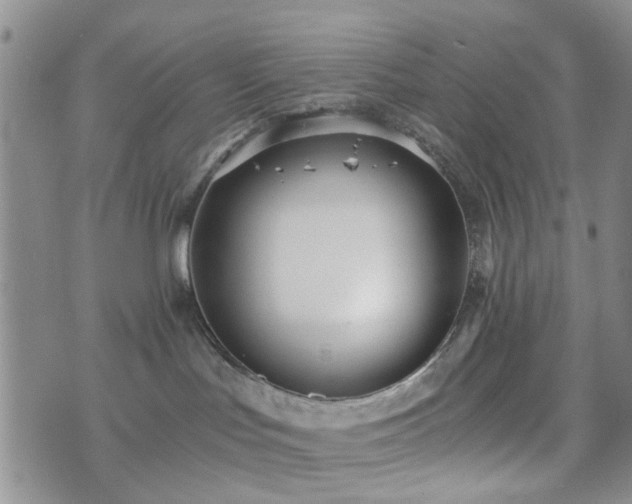 X0000073700047200608031225