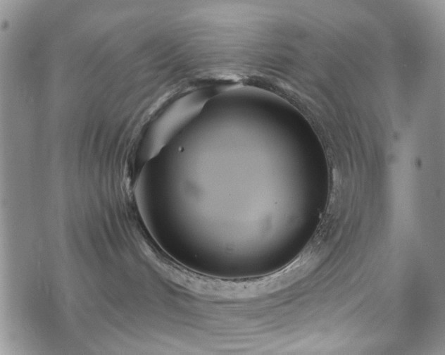 X0000073700048200608031225