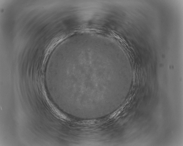 X0000073700049200608031224