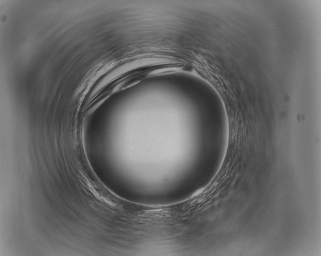 X0000073700050200608031224