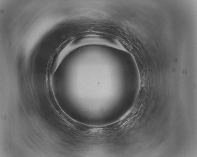 X0000073700052200608031225