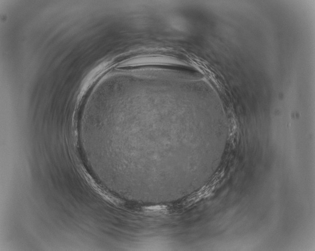 X0000073700053200608031225