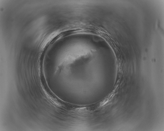 X0000073700054200608031225