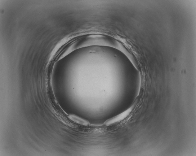 X0000073700056200608031225