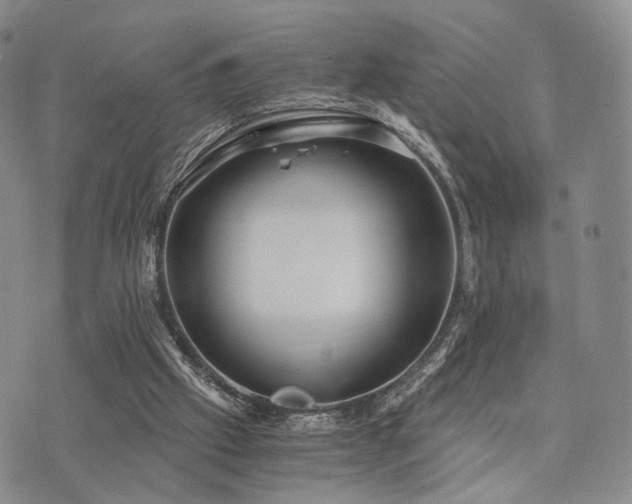 X0000073700057200608031225