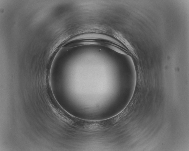 X0000073700058200608031225