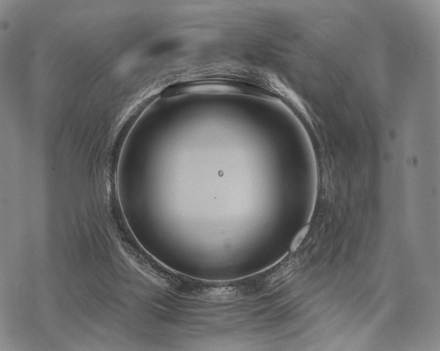 X0000073700059200608031225