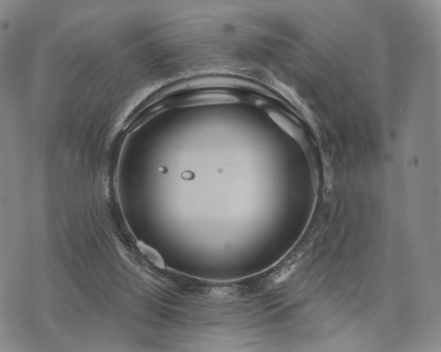 X0000073700060200608031225