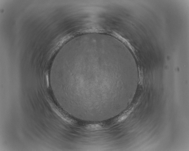 X0000073700061200608031225