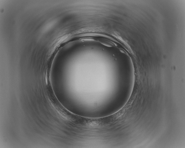 X0000073700062200608031225