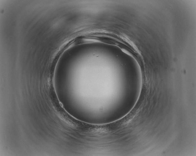 X0000073700063200608031225