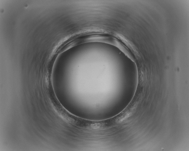 X0000073700064200608031225