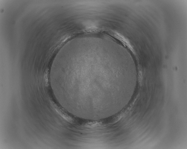 X0000073700065200608031225