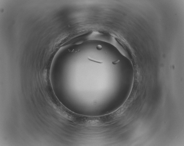 X0000073700066200608031225