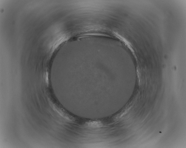 X0000073700067200608031225