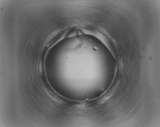 X0000073700068200608031225