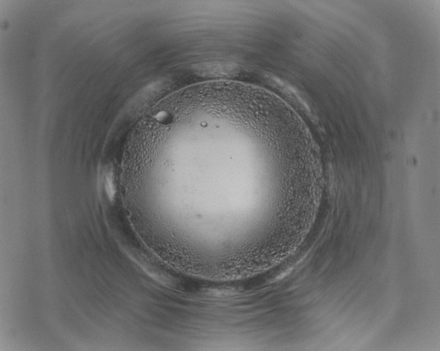 X0000073700069200608031225